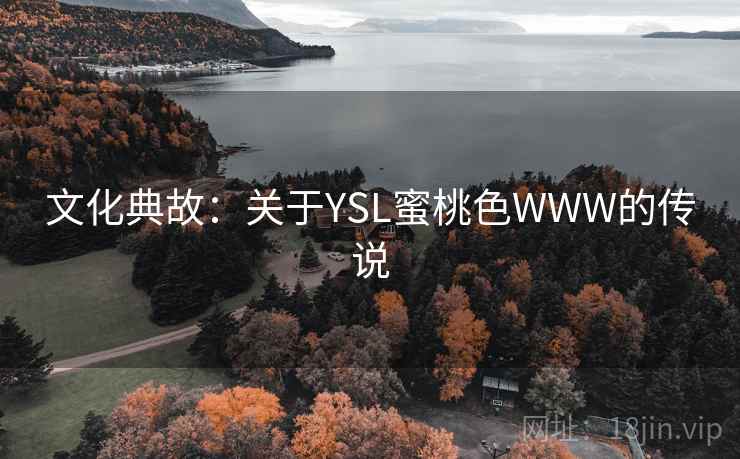 文化典故：关于YSL蜜桃色WWW的传说